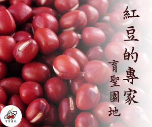 紅豆批發